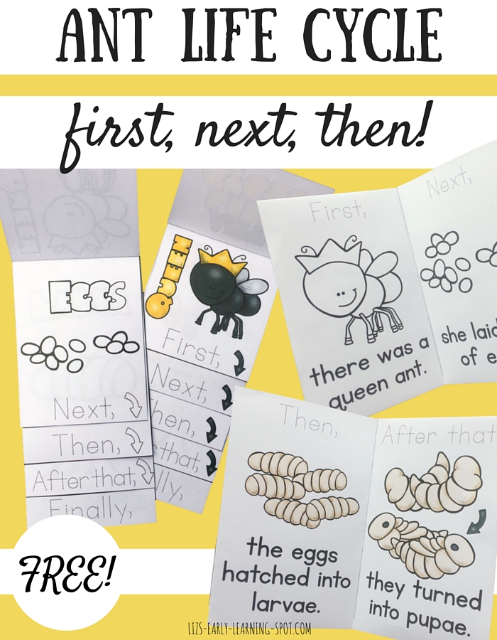 Alphabet and Sight Word Tic-Tac-Toe - Playdough To Plato